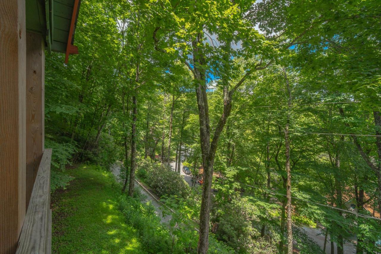 Swiss Mountain Village โบลวิงร็อค ภายนอก รูปภาพ